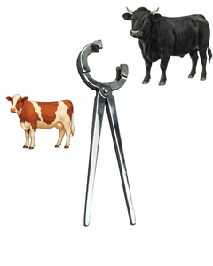 Aplicador de Anillos Modelo Bison de Surtechs, Instrumento de Castración Veterinaria para Ganado, Acero - Product Image 1