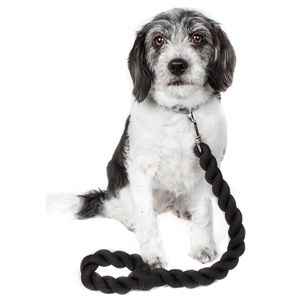 Guinzaglio per Cani Intrecciato Tough Tugger, Resistenza Industriale con Assorbimento degli Urti per Animali Attivi - Product Image 1
