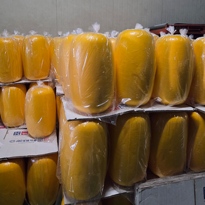 Boa Galleggiante EVA di Alta Qualità 500mm Gialla per Recinzioni Oleose e Contenimento Sversamenti Marini Prodotta in Corea - Product Image 4