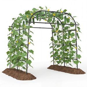Arco da Giardino in Metallo Alto 2,3 m, Traliccio per Piante Rampicanti, Recinzione e Cancello da Esterno - Product Image 4