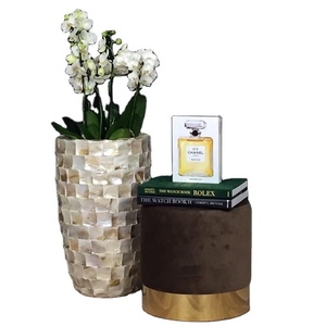 Mother Of Pearl แจกันดอกไม้สำหรับตกแต่ง,แจกันสีขาวแจกันดอกไม้สำหรับตกแต่งบ้านแจกันดอกไม้ขนาดใหญ่สำหรับปลูกในโรงแรม/บ้านโถงทางเดิน - Product Image 1