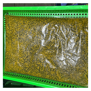 Purée de fruit de la passion surgelée 100% naturelle, avec et sans pépins, en vrac, conservation par l'eau - Product Image 5