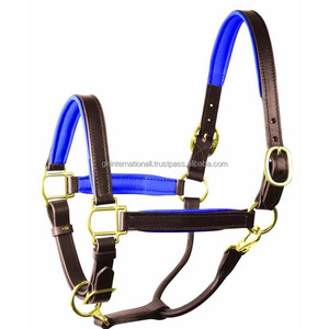 Cuello Halter de cuero acolchado suave para caballo, relleno de neopreno colorido con hebilla de latón sólido y anillos ajustables - Product Image 2