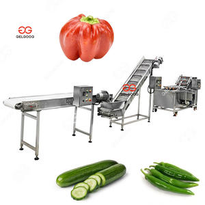 Máquina Automática para Procesar Vegetales, Cerezas, Cilantro y Chiles, Equipo de Lavado y Clasificación, Máquina de Limpieza Comercial - Product Image 1