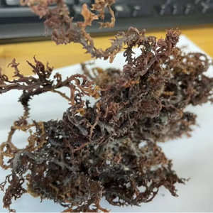 สาหร่ายทะเลสีม่วงเวียดเดลต้าสำหรับอาหารสัตว์ ปรุงรสพร้อมรับประทาน ซุปเมล็ดบัวปรุงสุก นำเข้าจากเวียดนาม - Product Image 1