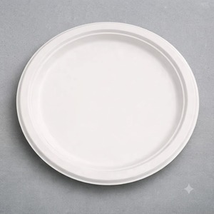 Assiette ronde en bagasse blanche de 12 pouces, de qualité supérieure, biodégradable, vaisselle écologique pour les fêtes et les restaurants - Product Image 4