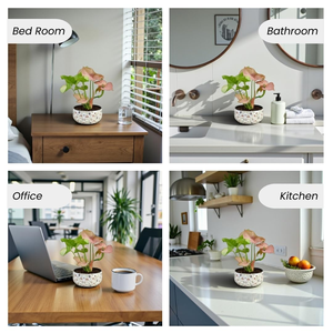 Plante d'intérieur vivante Syngonium rose Amulya Farms dans un pot métallique à imprimé floral de qualité supérieure, plante décorative purifiante de l'air pour la maison - Product Image 4