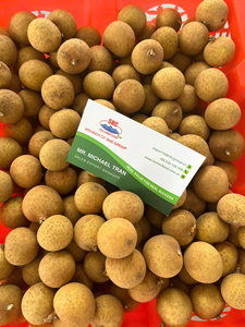 Idor Longan cultivado naturalmente de Vietnam, fruta dorada dulce para exportación, larga vida útil, empaquetado para consumidores globales - Product Image 6