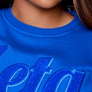 Sudadera de chenilla azul Zeta Phi Beta para mujer, con bordado monocromático de la letra Zeta, estilo casual. - Product Image 2