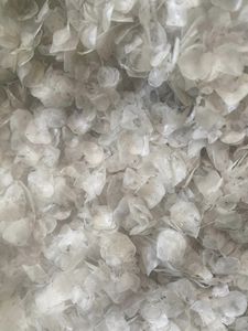 Escamas de Pescado al por Mayor, Materia Prima Marina a Granel para el Mercado de Exportación - Product Image 3