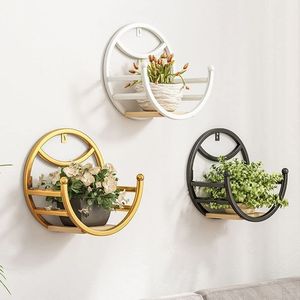 Pot suspendu en métal durable pour la culture de plantes à la maison, dans le jardin, sur le balcon, la terrasse, en intérieur ou en extérieur, décoration - Product Image 1