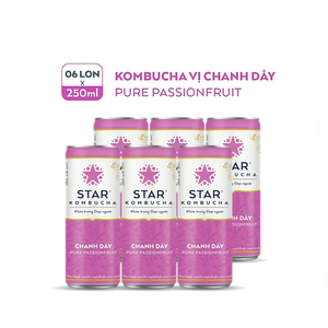 Bebida de Kombucha Strawberry Sunshine de 250 ml, Marca Star Kombucha, Bebida de Té Fermentado, Precio Competitivo al por Mayor - Product Image 2