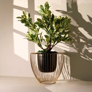 Jardinière décorative haut de gamme à finition métallique brillante pour maisons élégantes, jardinière en métal de luxe pour hall d'hôtel et décoration de bureau - Product Image 1