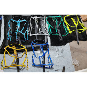 POUR VENDRE PVC SANGLE Brides décoratif HORSE bride COULEUR VERT JAUNE EN DOLLAR 8 - Product Image 6