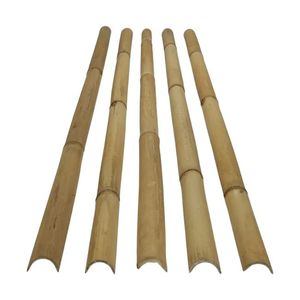Piquets en bambou naturel demi-coupés de haute qualité, renouvelables et robustes, pour le soutien des tomates et des plantes grimpantes - Product Image 1