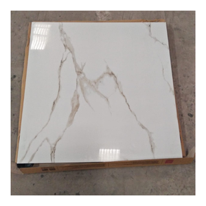 600x600mm 60x60cm 24x24 Pulgadas Espesor 8.5mm 9mm Forma Cuadrada Absorción de Agua Menor a 0.5 Por Ciento Tipo de Borde Rectificado - Product Image 1