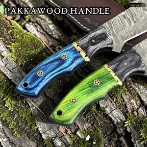 Cuchillo de caza de hoja fija de acero de Damasco con punta de gota y gancho para desollar, mango de madera verde, filo biselado, OEM, hoja de 4 pulgadas, para uso en exteriores y camping - Product Image 2