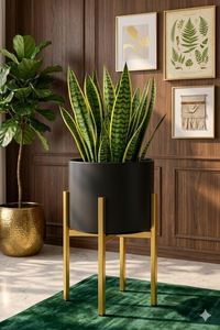 Jardinière en métal noir avec support doré – Pot de fleurs décoratif élégant pour maison moderne, salon, balcon, bureau et intérieur stylé - Product Image 6