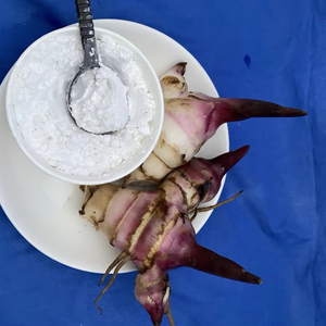 Poudre d'amidon d'arrowroot biologique de qualité supérieure, goût naturel, pour aliments et ingrédients, emballée en sac, provenant du Vietnam - Product Image 1