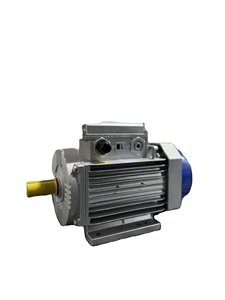 Motor Asíncrono de 50Hz-60Hz con 12 Meses de Garantía, Motor de Aluminio Fundido de 220V-50Hz-60Hz CA, Motor Eléctrico Monofásico - Product Image 2