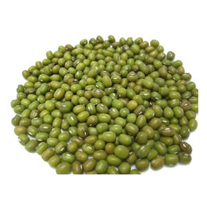Frijoles mung verdes aptos para germinar, moler en harina y cocinar, suministro a granel para exportación - Product Image 1