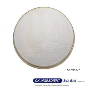 Polvo de Jugo de Sandía Premium de Alta Calidad, Halal, OEM, B2B, Mejor Proveedor Garantizado, Bebida Refrescante e Hidratante - Product Image 5