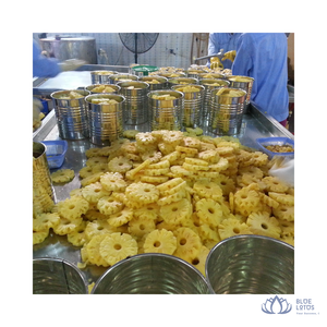 [VENTA EXITOSA] |   Rodajas de piña en conserva en jarabe, suministro al por mayor para panaderías y repostería de Blue Lotus Farm - Product Image 1