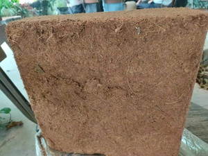 Bloc de tourbe de coco à haute compression avec une excellente rétention d'eau - Product Image 5