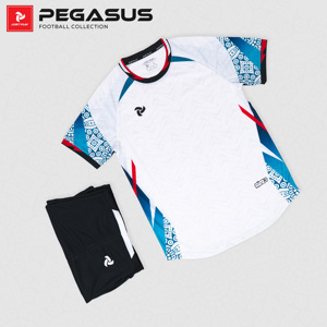 ชุดฟุตบอลแบบกำหนดเอง Pegasus แห้งเร็ว ระบายอากาศได้ดี สำหรับผู้ชาย ผู้หญิง และเด็ก รับผลิตแบบ OEM ODM - Product Image 2