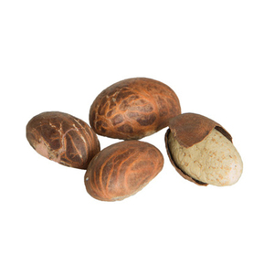 Poudre d'extrait de Garcinia Kola africaine fraîche, de noix de Kola amère et de fèves de cacao - Product Image 3