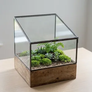 Terrarium Carré Moderne en Laiton/Verre avec Base en Bois, Design Artisanal, Décoration Intérieure pour Salon, Toutes Saisons - Product Image 1