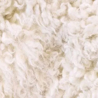 Raw Wool/ Wool Fiber Sheep Wool