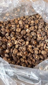 เห็ดหอมแห้งจากเวียดนาม: คุณภาพสูงสุดปลอดภัยและอุดมไปด้วยรสชาติธรรมชาติสำหรับทุกจาน/ลิมา - Product Image 5