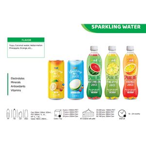 Bebida de jugo de mango espumoso 250ml (paquete de 24) VINUT, sin OGM, sin azúcar añadido, proveedor mayorista, muestra gratis, OEM ODM - Product Image 6