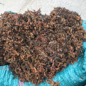 Polvo de Algas Sargassum Secas de Primera Calidad para Alimentación Animal, Humedad Máxima del 30%, de Vietnam - Product Image 1