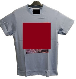Top qualité hommes à manches courtes séchage rapide 100% coton été hommes impression numérique doux Anti empilage décontracté col rond élégant T-shirts - Product Image 1
