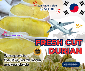 Durian thaïlandais frais, variété Monthong, goût sucré et crémeux, 100% pulpe de durian thaïlandais, pulpe congelée, 500g, durée de conservation de 14 jours, approvisionnement en vrac - Product Image 5