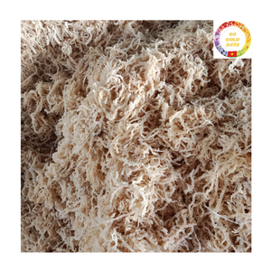 Musgo Marino para Reventa |   Algas Marinas Orgánicas Secas |   Producto de Alta Demanda |   Proveedor Mayorista de Fábrica - Product Image 3
