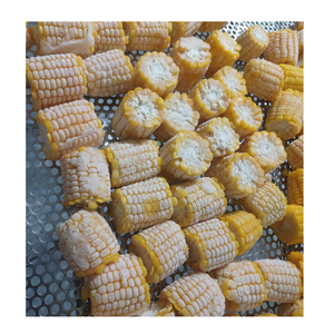 Légumes surgelés en gros pour restaurants et supermarchés - Product Image 1