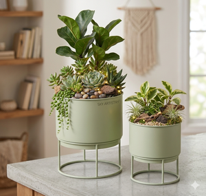 2 Planter Iron Powder Coated Durable Multi-Purpose Modern Classic Outdoor & Indoor Floor Planter with Drainage - Product Image 3
