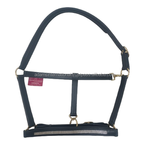 Licou de cheval de selle anglais élégant de haute qualité en cuir véritable fabriqué et vendu en gros par une société experte - Product Image 1