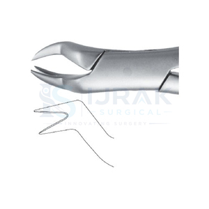 Forceps d'extraction dentaire en acier inoxydable, forceps manuels pour dents, griffes chirurgicales pour usage clinique - Product Image 4