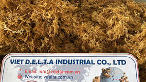 WHOLESALE DRIED SEA MOSS/IRISH SEA MOSS/ Ms. Lima - Product Image 1