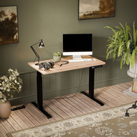 Bureau de jeu électrique réglable en hauteur pour télétravail, table de travail PC assis-debout avec pieds métalliques pour salle de jeux à domicile