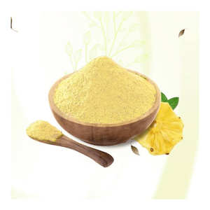 Poudre de fruit d'ananas naturel de qualité alimentaire, extrait de bromélaïne séché par pulvérisation, emballage en fût, pour boissons, smoothies, pâtisseries, aliments santé - Product Image 2