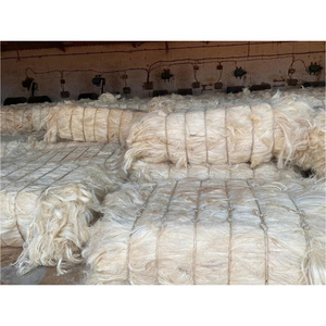 เส้นใยไซซอลคุณภาพสูง ราคาถูก 100% จากธรรมชาติ สำหรับผลิตภัณฑ์ไซซอล - Product Image 1