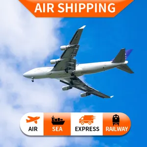 Professional air freight forwarders to USA Sweden Germany Canada France UK mexico Spain Europe door to door service