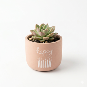 Pot rond en argile décoratif pour la maison, couleur noire, vases en céramique et en terre cuite pour la décoration de la maison et la décoration de table - Product Image 1