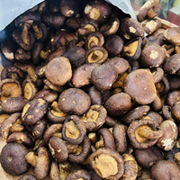 Natuurlijk knapperige, gevriesdroogde shiitake paddenstoelen, vacuüm gefrituurde snack, tropisch fruit, Vietnam fabriek, groothandel, bulk levering