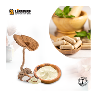 LiGNO TM02 Liquide d'eau de champignon du lait de tigre (Lignosus) |   Matière première fonctionnelle pour la santé immunitaire respiratoire |   Fût de qualité cosmétique